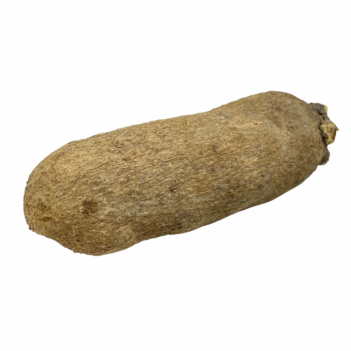 Yam Tuber